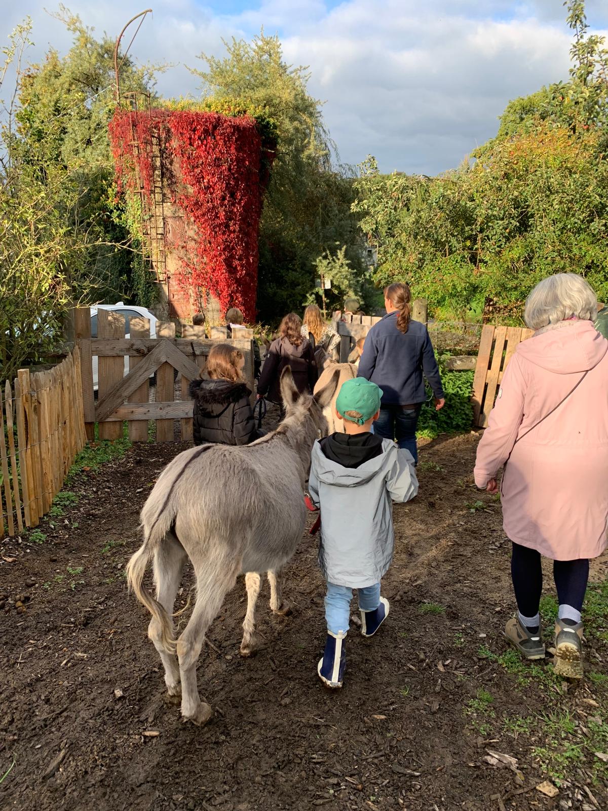 Bild-20251009-161557-04861f16. Bild-20251009-161557-04861f16.